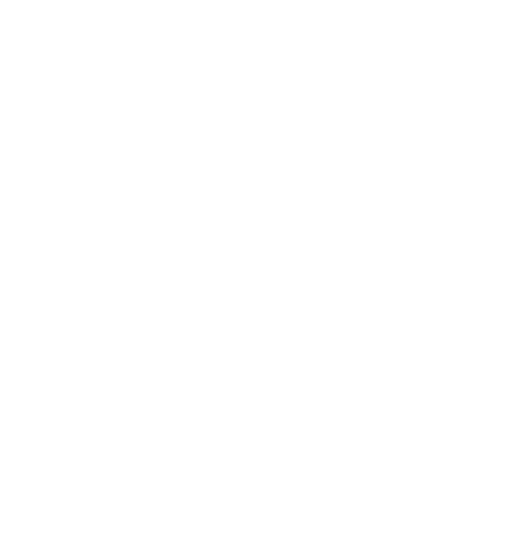 Mission Icon